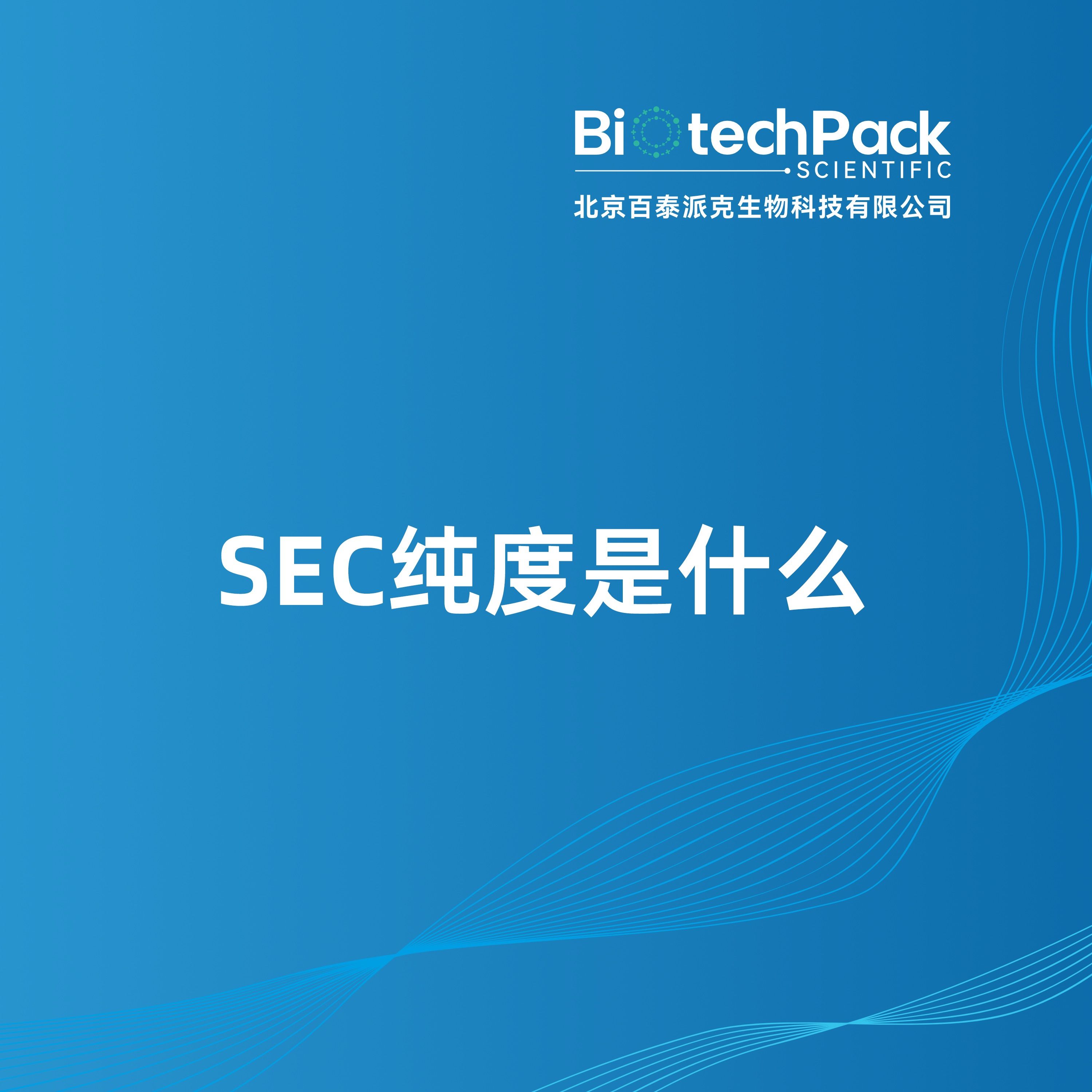 专家称SEC将在年底冲破6.19美元，引发引发关注